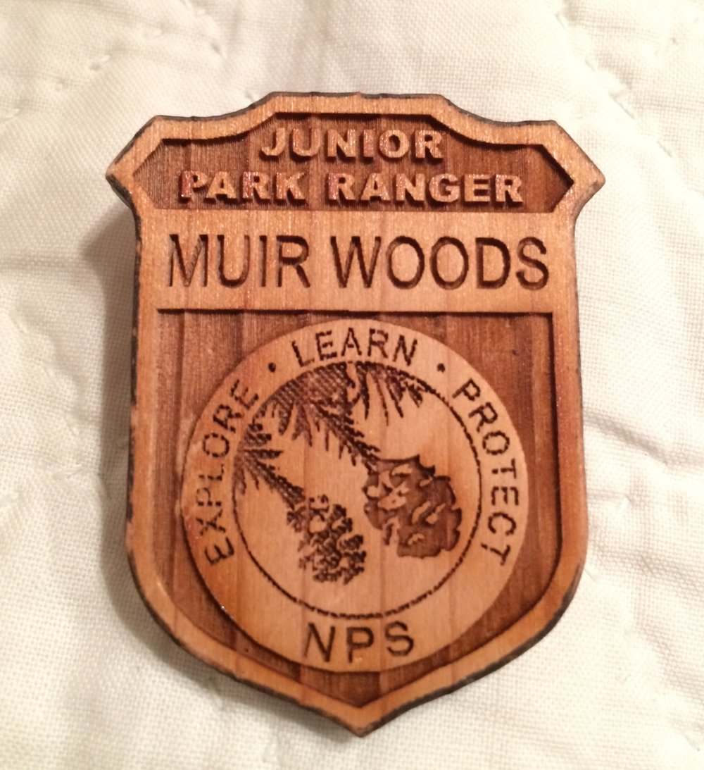 Junior Park Ranger Badge for Kids Visiting Muir Woods