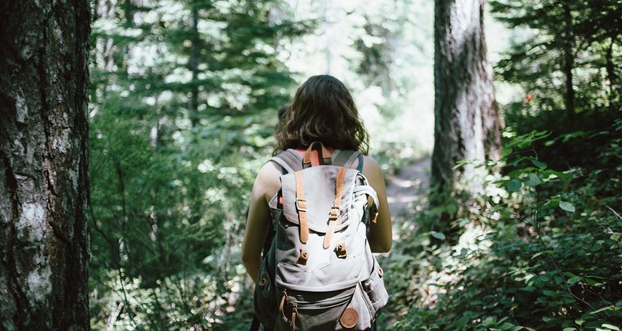 Hiker with Backpack on Muir Woods Trip from San Francisco