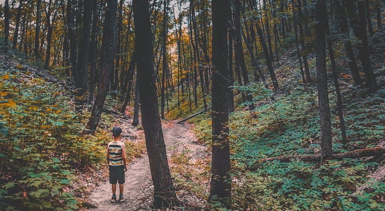 Things to do Muir Woods for Kids