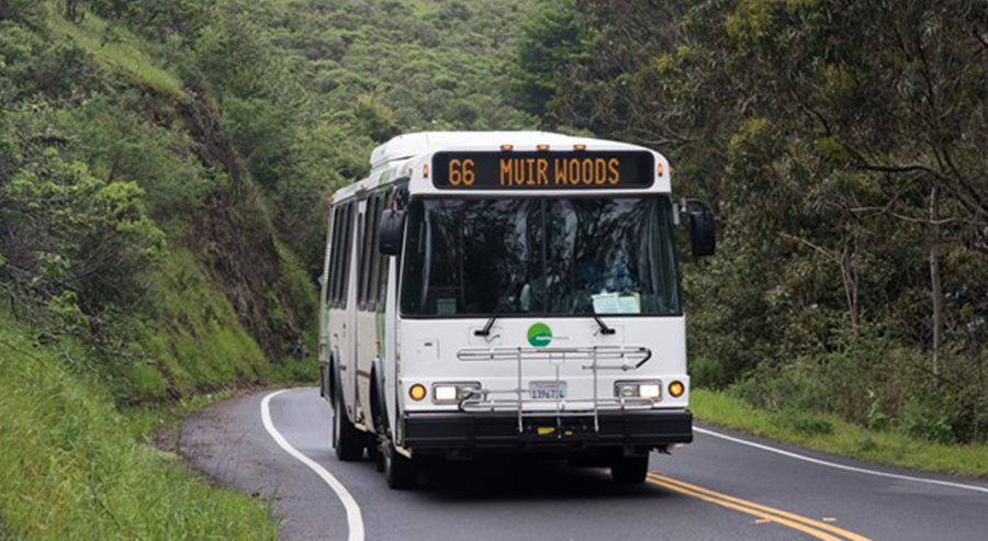 Muir Woods Shuttle for the Public