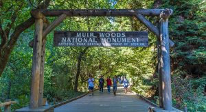 Small Group Visiting Muir Woods from San Francisco on Tour