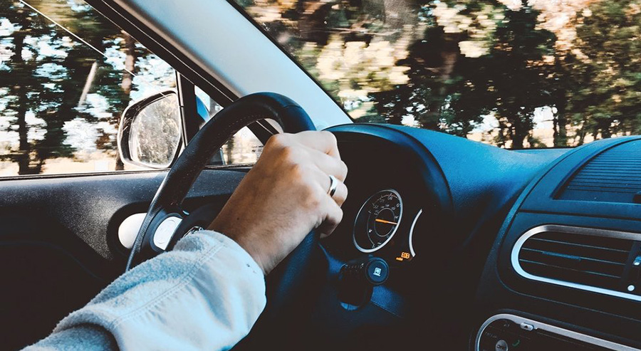 Traveling to Muir Woods by Car from San Francisco