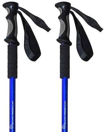 Hiking Poles for Hiking Trails in Muir Woods