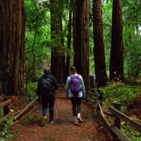 the-ultimate-day-in-the