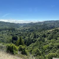 view-on-the-way-back